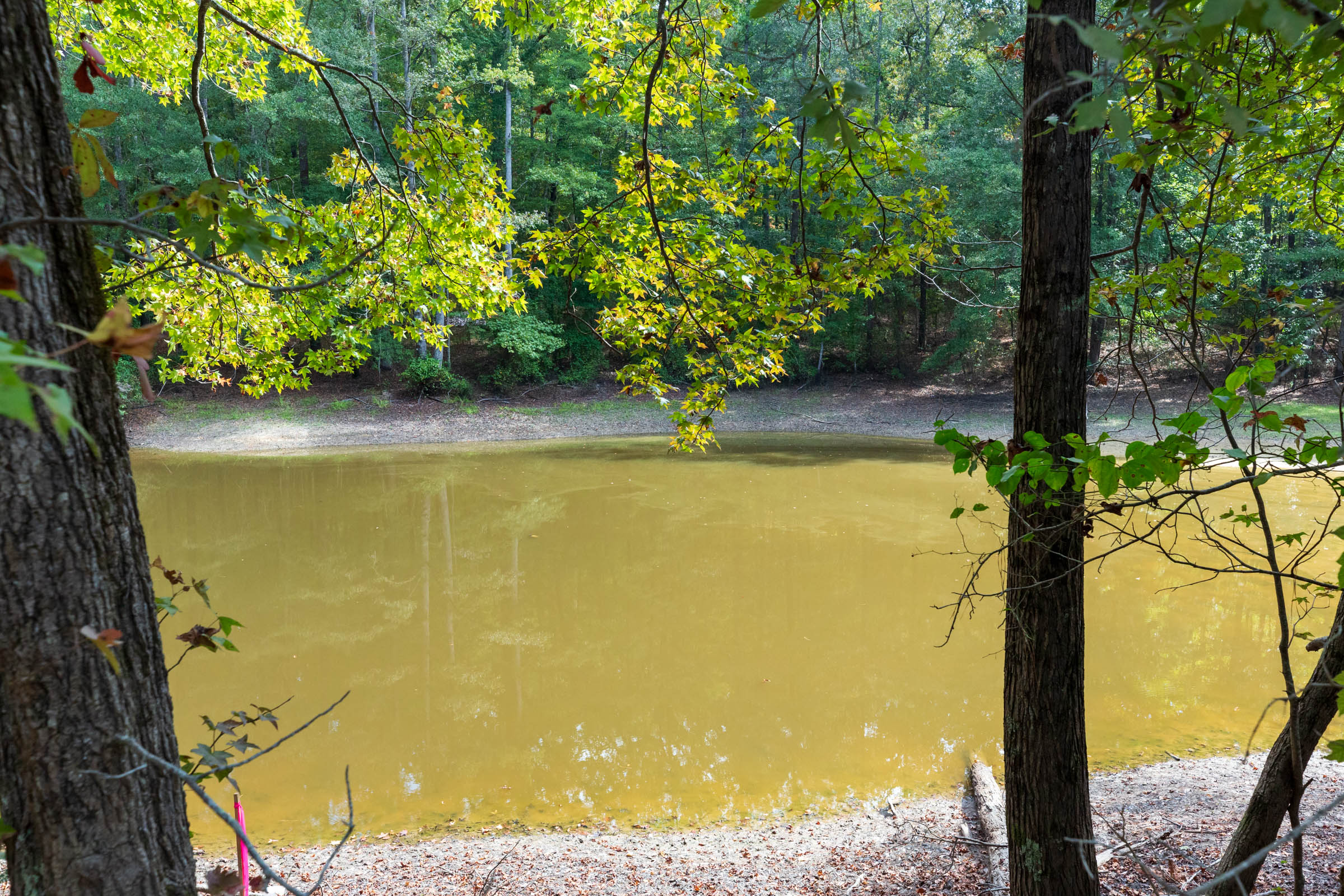 Tract 7 at Willow Grove in Lamar County, Alabama