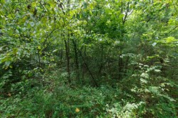 property photo for Springlake Plat 5 Tract 325, 0.2 acres for sale in Miller County, Missouri